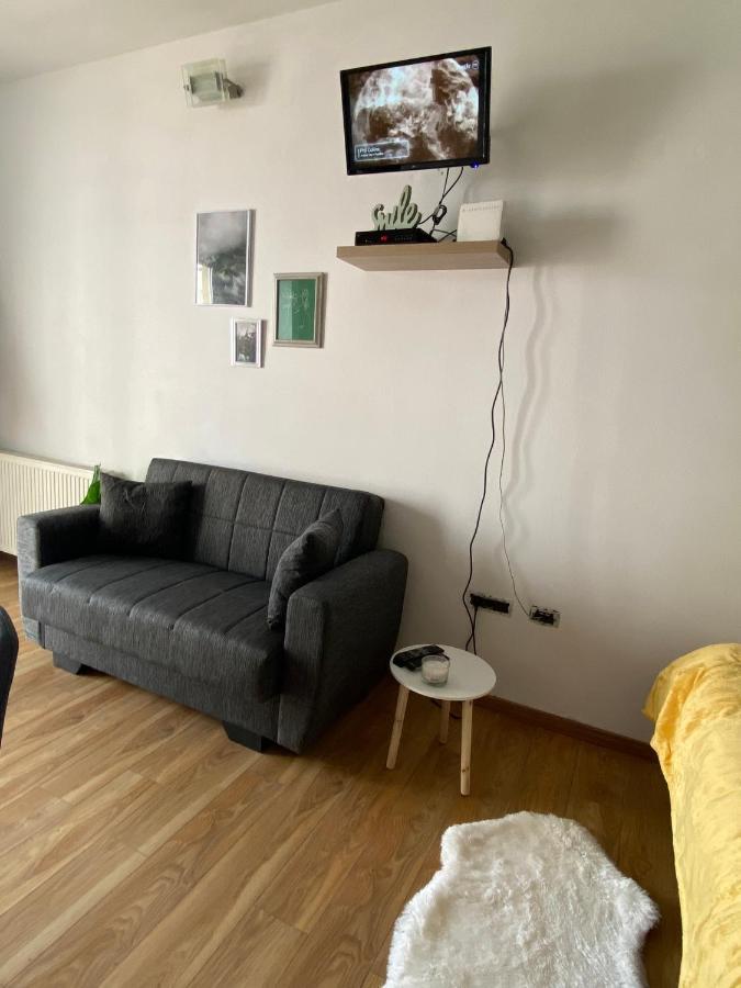 טימישוארה Green Studio מראה חיצוני תמונה
